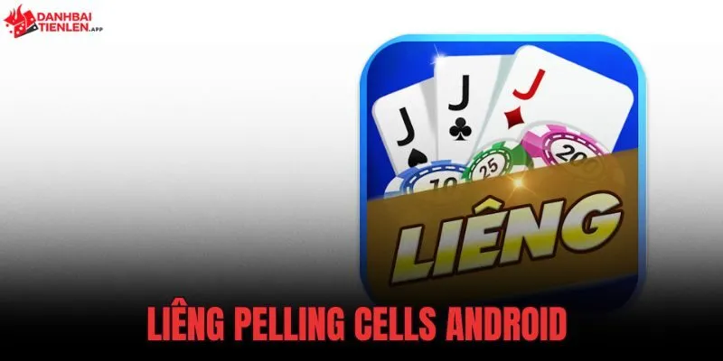 Liêng Pelling Cells Android chạy offline cực mượt trên điện thoại cũ. Cài đặt ngay phiên bản 5.8MB để giải trí cùng luật đánh chuẩn xác!